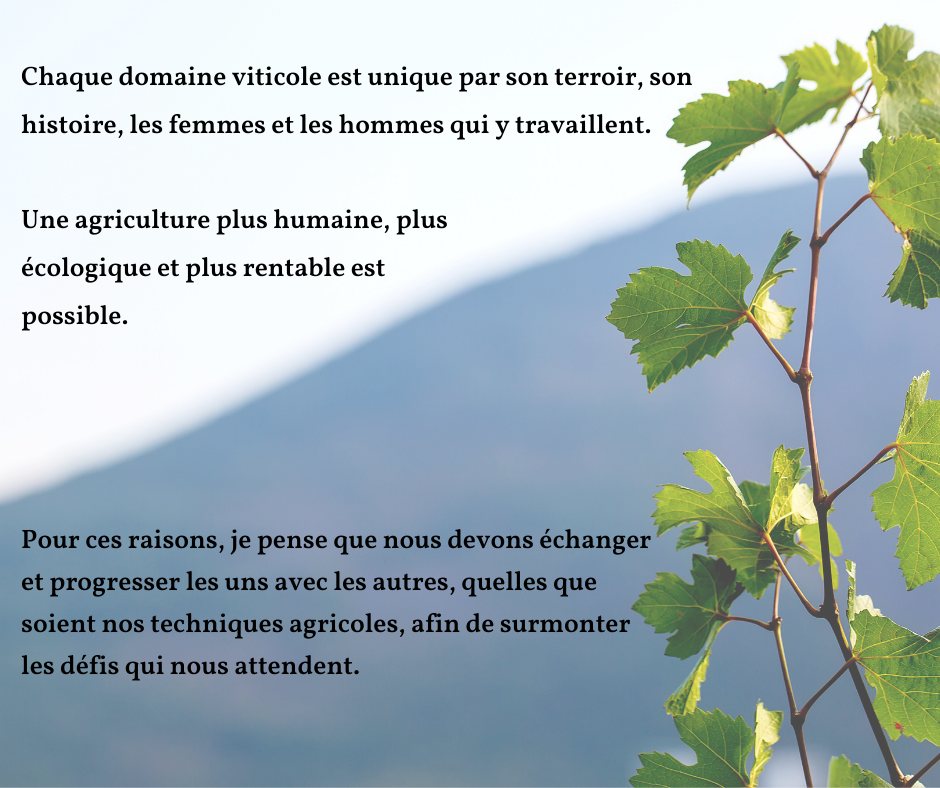 Chaque domaine viticole est unique par son terroir son histoire les femmes et les hommes qui y travaillent 1