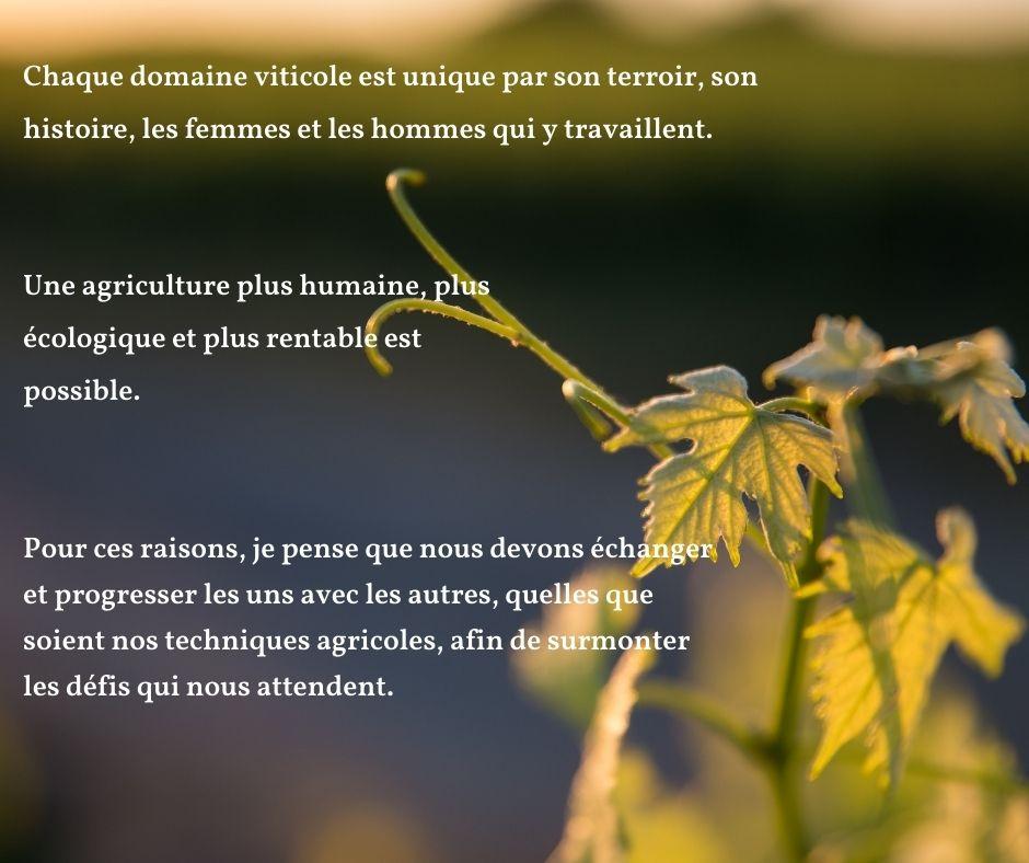 Chaque domaine viticole est unique par son terroir son histoire les femmes et les hommes qui y travaillent 1
