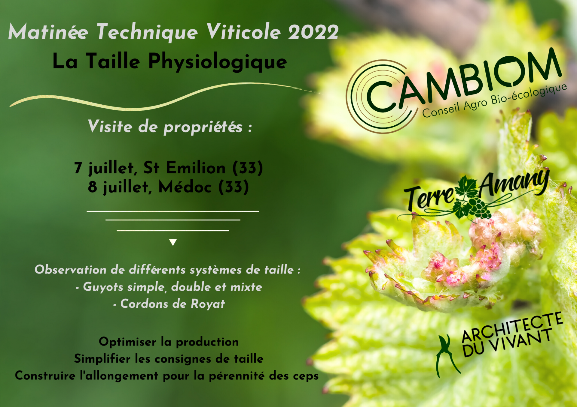 Mathinee technique taille douce physiologique les travaux en vert 2 